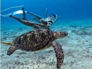 プランの魅力 ウミガメと素潜り の画像