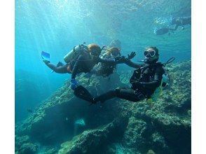 プランの魅力 Diving の画像