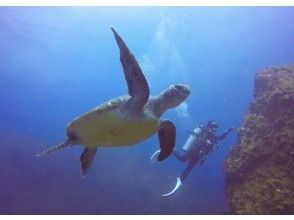 プランの魅力 Boat diving の画像