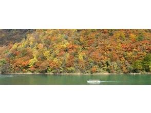 プランの魅力  の画像