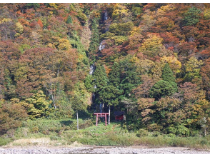 プランの魅力  の画像