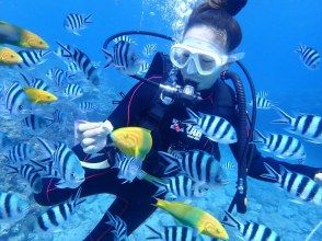 プランの魅力 遇見海龜！ の画像