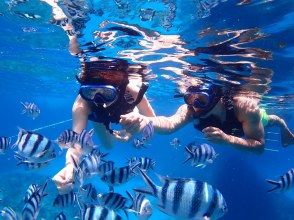 プランの魅力 お魚パラダイス☆ の画像