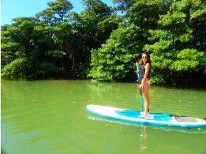 プランの魅力 Popular SUP cruising! の画像