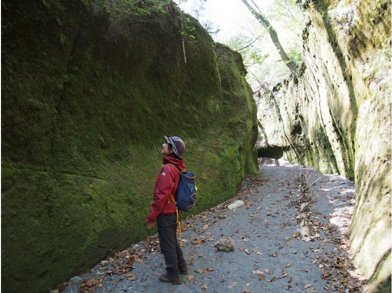 Hokkaido in the summer Shikotsu Lake sightseeing Excellent transparency! Activities to enjoy the blue of Shikotsu Lake Experience leisure Moss Corridor Hokkaido Private Adventure