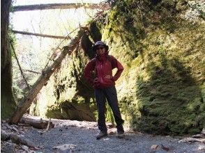 プランの魅力 女性ガイドがご案内 の画像