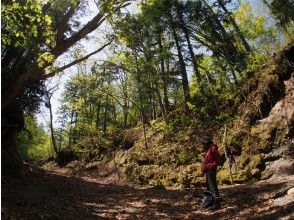 プランの魅力 从札幌出发90分钟即可享受大自然 の画像