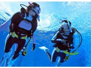 プランの魅力 &ldquo;海の中でしか味わえない&rdquo;浮遊感 の画像
