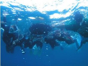 プランの魅力 Snorkeling together の画像