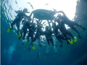 プランの魅力 这是每个人都在做的 の画像