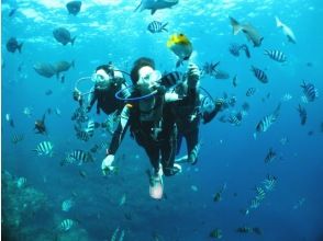 プランの魅力 これぞ沖縄の海！ の画像