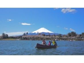 プランの魅力 Cherry-blossom viewing の画像