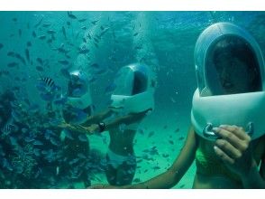プランの魅力 海上漫步 の画像