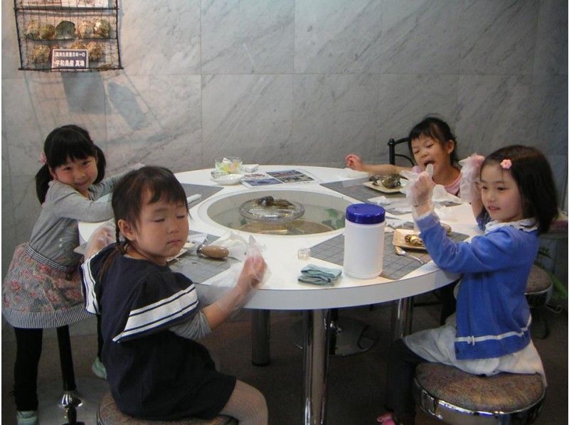 Pearl extraction experience! Great value recommended plan Tokyo Ueno PICOLABO Children enjoying the experience of extracting pearls