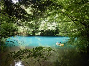 プランの魅力 四万湖の美しさはカヌーに乗らないとわからない！ の画像