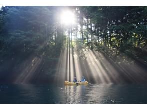 プランの魅力 早朝ツアーは神秘的！ の画像