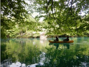 プランの魅力 Emerald green in summer! の画像