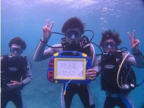 プランの魅力 青の洞窟体験ダイビング の画像