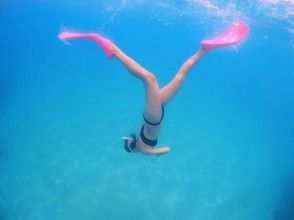 プランの魅力 Skin diving practice の画像