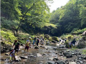 プランの魅力 River trekking の画像