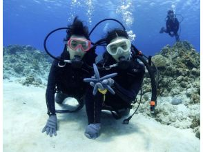 プランの魅力 照片礼物 の画像