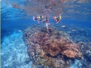 プランの魅力 水納島の透明度 の画像