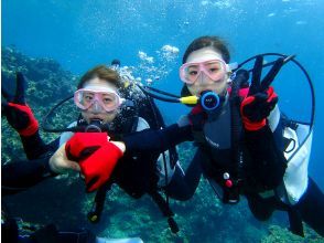 プランの魅力 Go to the Blue Cave by chartered boat service. の画像