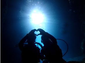 プランの魅力 Feeding experience for tropical fish の画像