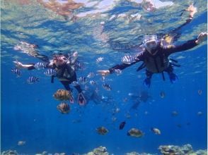 プランの魅力 用高性能相机拍摄美丽的照片 の画像