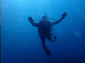 プランの魅力 水中写真プレゼント の画像