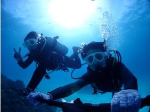 プランの魅力 水中写真データ、無料プレゼント! の画像