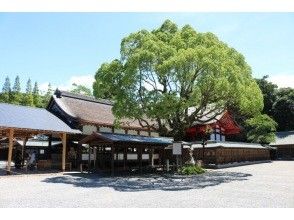 プランの魅力 溶解后 の画像