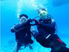 プランの魅力 初めての海の世界 の画像