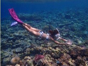プランの魅力 Enter the world of fish and coral reefs with a boat snorkel! の画像
