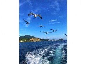 プランの魅力  の画像