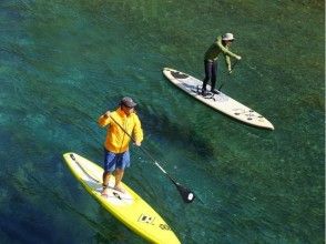 プランの魅力 Lake Shikotsu with outstanding transparency that allows you to clearly see the topography of the lake even from the surface of the water の画像