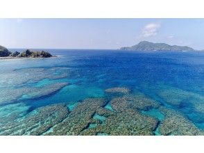 プランの魅力 永遠的珊瑚礁 の画像