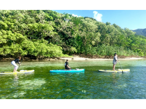 プランの魅力 被新鮮的綠色和水面迷住了♪ の画像