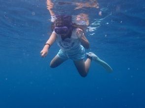 プランの魅力 小学生のビギナーから の画像