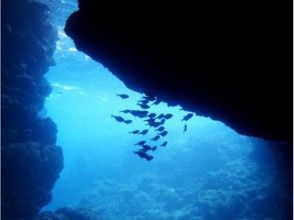 プランの魅力 Popular Spot "Blue Cave" の画像