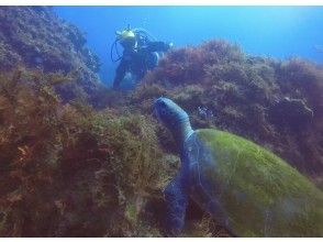 プランの魅力  の画像