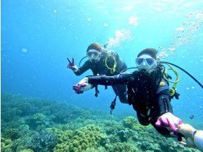 プランの魅力 サンゴ畑を水中散歩！ の画像