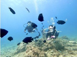 プランの魅力 Sunabe specialty "underwater post" の画像