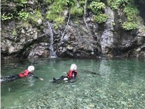 プランの魅力 「沢王国」新潟の渓谷美 の画像