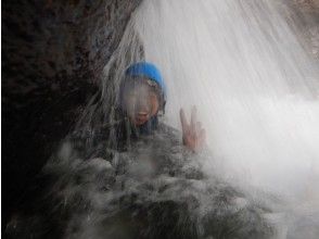 プランの魅力 の画像