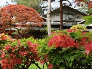 プランの魅力 Torigata大厅 の画像