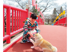 プランの魅力 Taiko Bridge の画像