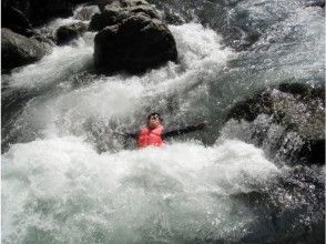 プランの魅力 水遁の術 の画像