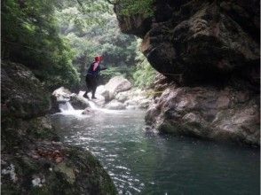 プランの魅力 Slack line の画像