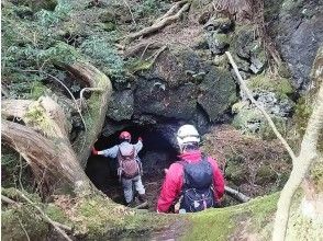 プランの魅力 の画像